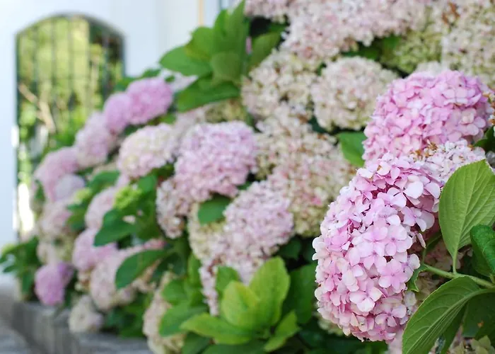 Daire Vale Da Varzea *